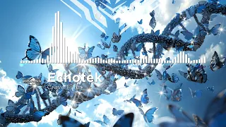 Echotek - Crave Filter