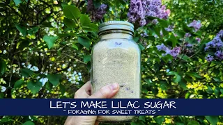 Let's Make Lilac Sugar!!