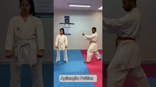 Aplicação primeira parte do Kata Heian Shodan