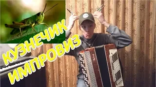 В ТРАВЕ СИДЕЛ КУЗНЕЧИК! Импровизация на баяне от Александра!