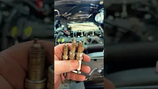 Spark plugs should be torqued…at least tighten them!