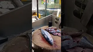 Giant Tuna Fish Expert Man Cutting Skills#shorts