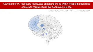 Schizophrenia Treatment Revolution? Introducing Xanomeline: Potential and Latest Updates