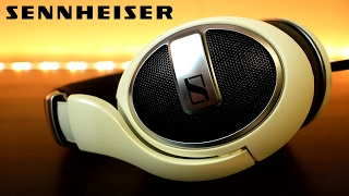 Sennheiser HD 599 Open Back Headphone Review | My NEW Favorite Gaming Cans! | Raymond Strazdas