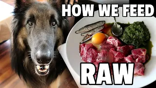 What to Feed my Dog on RAW DIET | How to Start | Easy Healthy Raw Meat Recipes for Beginners