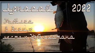 Рыбалка в Узбекистане Арнасай на сазана