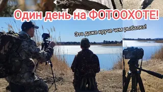 Один день на ФОТООХОТЕ! Это даже круче чем рыбалка!