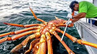 PESCADORES SORTUDOS PEGARAM ALGO INCRÍVEL