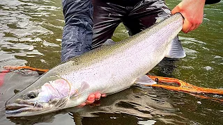 GIANT Steelhead Fishing & Winter Van Camping | BOBBER DOWNS