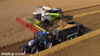 Harvest 2021 - Claas Lexion 8700 TT cutting barley + NH T8020 & T7.270 tractors + 2x RW SF18HS Plus
