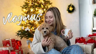 Vlogmas 2 | Puošiame Kalėdinę eglutę🎄, Kalėdinės TV reklamos filmavimai