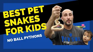 Best Pet Snakes For Kids- 2022 Update