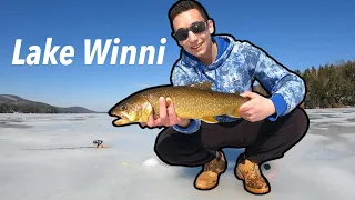 Cheat Code for Catching Lake Trout Ice Fishing Winnipesauke