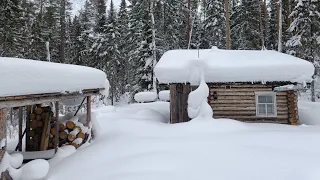 Здравствуй изба. Затопил печку и проблемы! Какую воду лучше пить в лесу? 2 серия