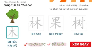 Tuyển chọn 60 bộ thủ tiếng Trung thông dụng nhất | Mẹo nhớ nhanh từ vựng bằng bộ thủ