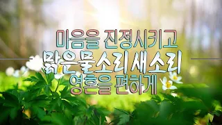 머리가 맑아지는 숲 속 치유음악 🌲하루10분 만병을 치료 해주는 힐링 명상 기치료 음악 및 영상🌲아침명상음악 - 아침음악 - 힐링음악 - 명상음악 - 스트레스해소음 음악