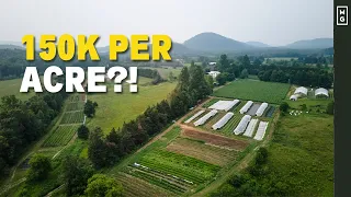 How Much Money Can A Small Farm Make? Let's Talk Numbers