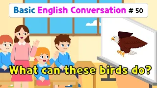 Ch.50 What can these birds do? | Basic English Conversation Practice for Kids