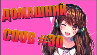 Домашний COUB #30