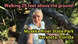 Walking 25 Feet Above the Ground on the Canopy Walk at Myakka River State Park in Sarasota, Florida