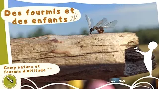 Des fourmis et des enfants !!