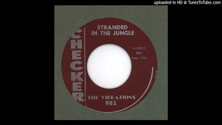 Vibrations,The - Stranded In The Jungle - 1961