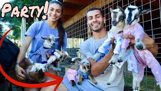 CUTE BABY GOATS PLAYING AND JUMPING IN PAJAMAS!!