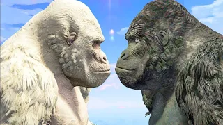 white king kong (george) vs black king kong #3