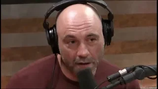 Joe Rogan on the Physical Toll of Fighting