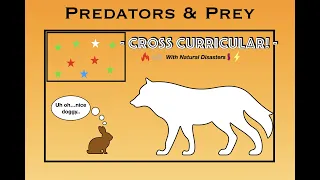 Predators and Prey - Phys Ed Game