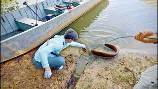 Shocked By Electric Eels Fishing The Amazon Rainforest