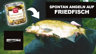 So fischt du ERFOLGREICH mit der POSE - Spontan auf Friedfisch