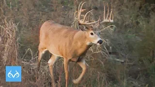 187" Kansas Brute Makes Scrape | Monster Bucks Monday