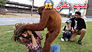 رحنا على حديقة حيوانات || هجم عليها قرد😰