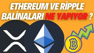 Ethereum ve Ripple Balinaları Ne Yapıyor ? - Ripple XRP Son Durum