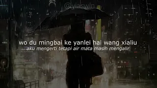 Wo Dou Ming Bai-范倪Liu (Terjemahan Indonesia Lirik dan Pinyin)