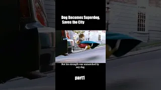 this dog has super powers 😍 #shortsfeed #strange #shortvideo #hollywood #movie #movieclips #hindi