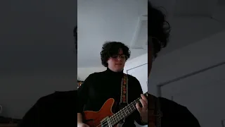 And I Love Her (Solo Bass Arrangement)