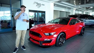 2019 MUSTANG SHELBY GT350R WALKAROUND | COLLEY FORD