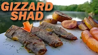 Catch and Cook Shad - EATING CATFISH BAIT!