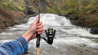 Scenic Finger Lakes Tributary Fishing - Searching For Lake Run Trout