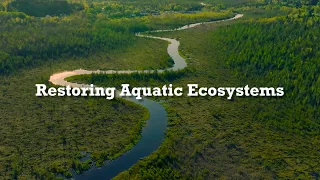 Restoring Aquatic Ecosystems
