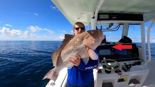 Top 3 BEST Saltwater Grouper Fishing Rigs for Dead/Live Bait (Offshore Bottom Fishing)