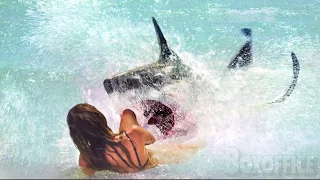 The White Shark | Film Complet en Français | Horreur
