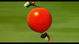 Minuscule S01E24 - Tomate cerise | Cherry Tomato (4K 60 FPS AI Remaster)