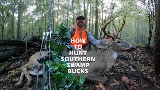 How To Hunt SOUTHERN PUBLIC LAND SWAMP BUCKS
