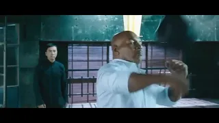 Iron Mike Tyson vs IP MAN and Steven Seagal