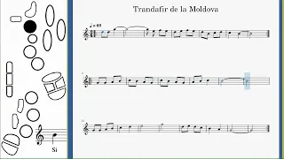Trandafir de la Moldova - variantă saxofon alto