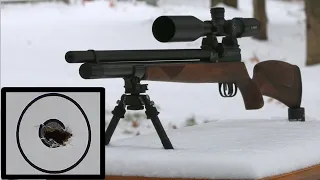 100 Yard Accuracy on a Budget | JTS Airacuda  .25 | Complete PCP Air Rifle Kit for $500