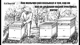 Аудиокнига Как мальчик рассказывал о том, как он дедушке нашел пчелиных маток Лев Толстой